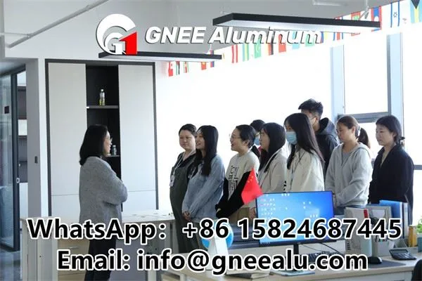 Aluminum Foil For Household Foil